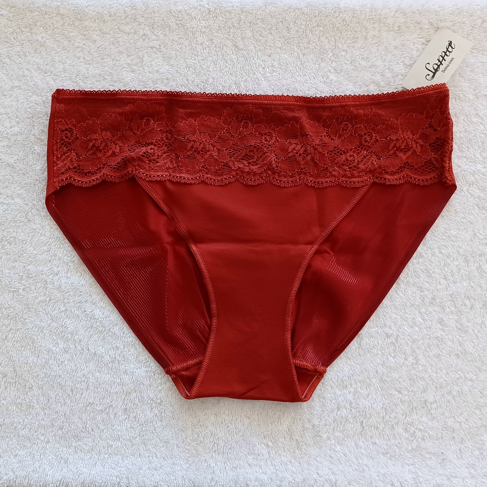 NWT Soma Vanishing Edge Microfiber With Lace Hipster  Panties, Size S